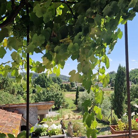شقة La Casa Nella Vigna Colline Del Vino كابانّوري المظهر الخارجي الصورة