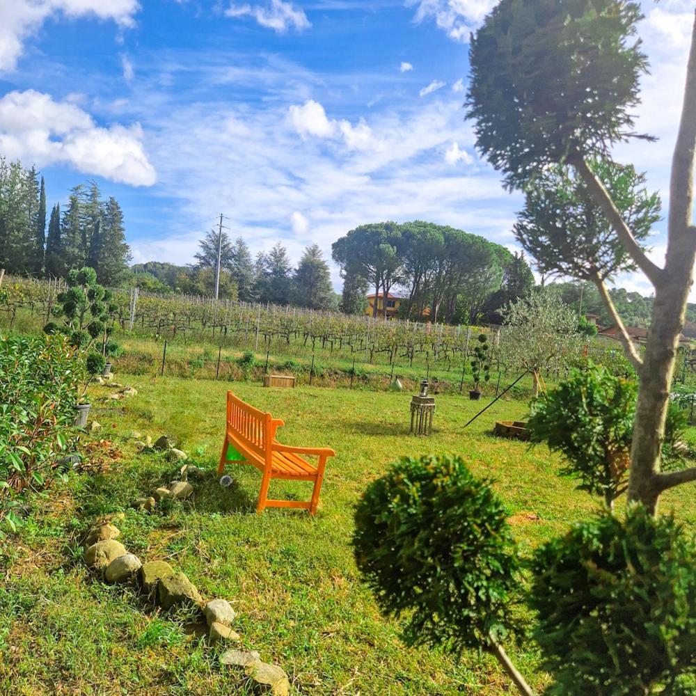 شقة La Casa Nella Vigna Colline Del Vino كابانّوري المظهر الخارجي الصورة