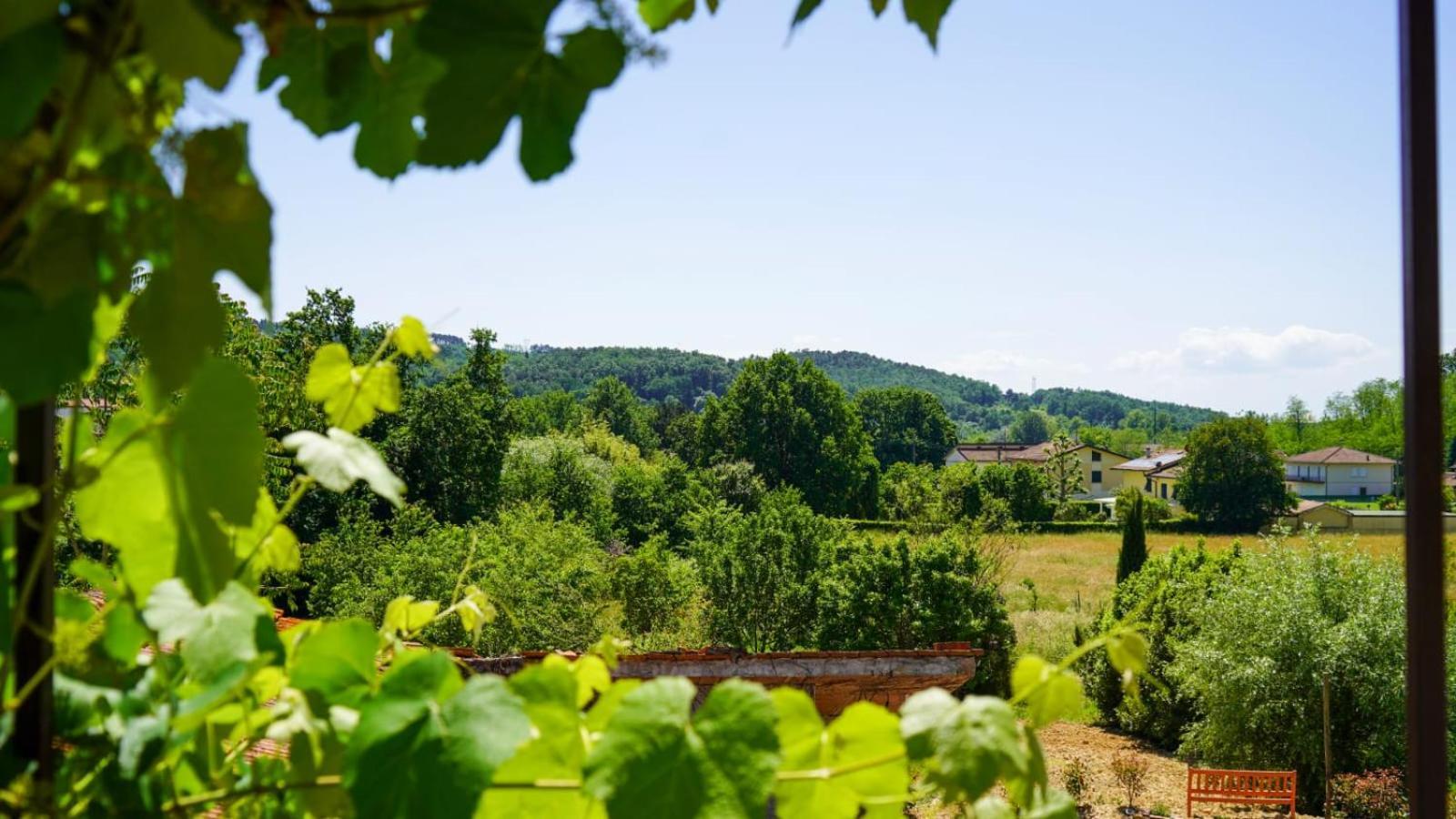 شقة La Casa Nella Vigna Colline Del Vino كابانّوري المظهر الخارجي الصورة
