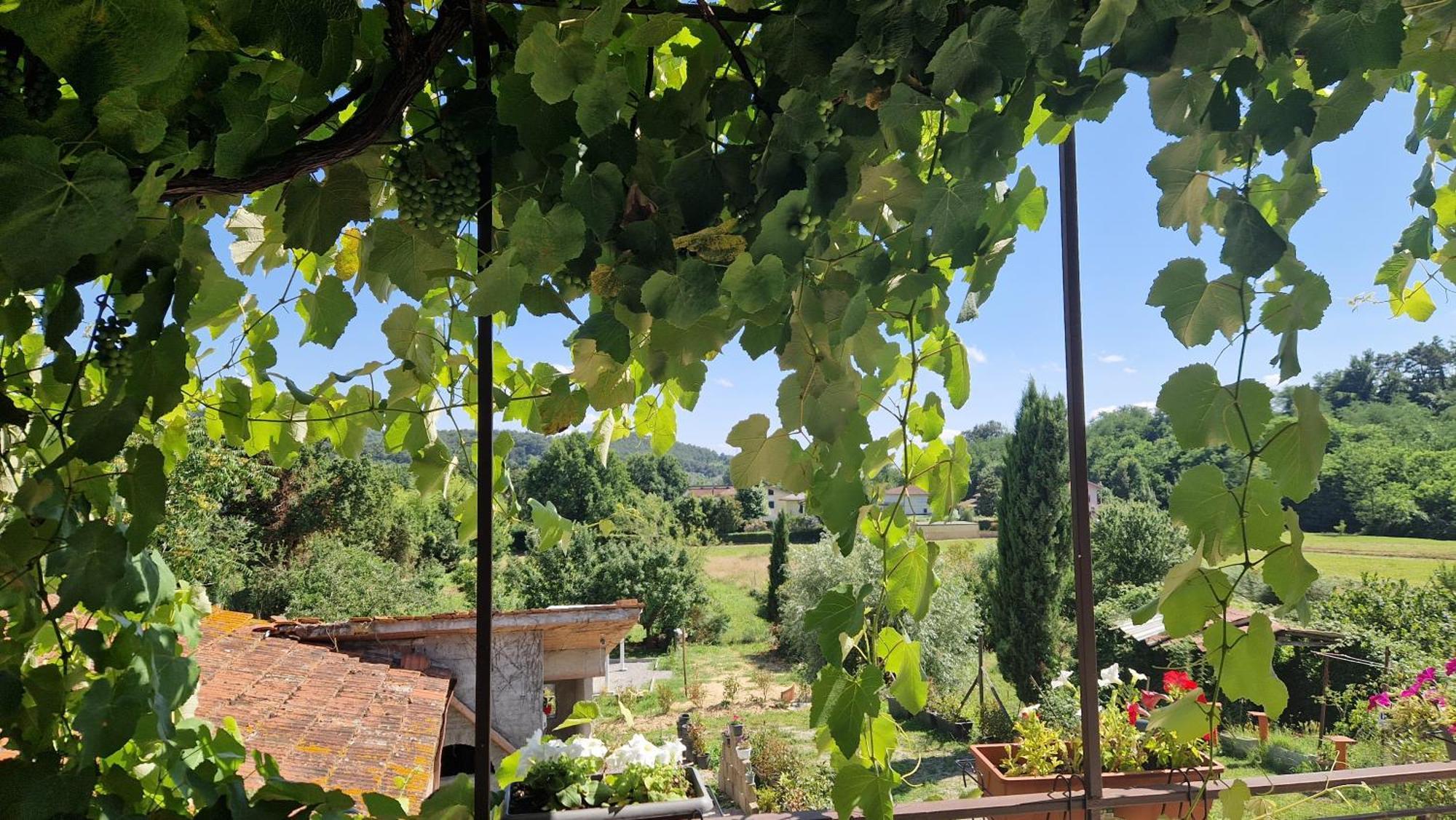 شقة La Casa Nella Vigna Colline Del Vino كابانّوري المظهر الخارجي الصورة